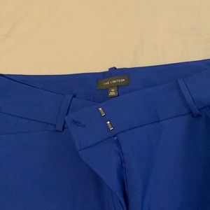 Electric Blue Dress Pants